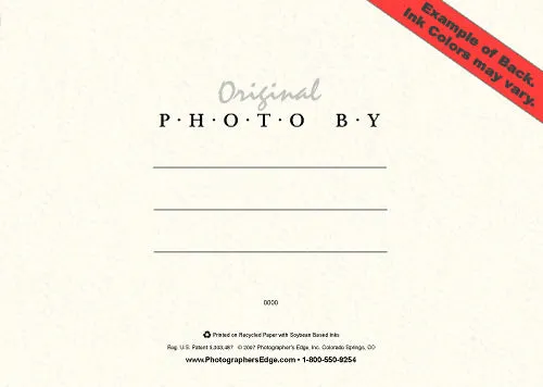 1005 - Bright White, Wishing you a..., Horizontal, set of 10 cards